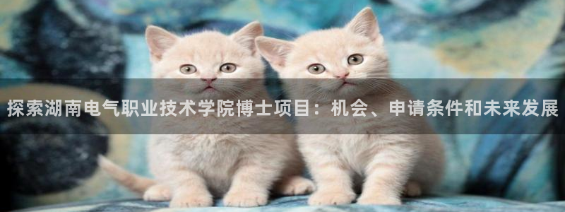 k8凯发国际首页