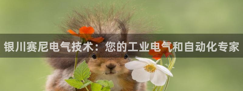 k8凯发官方找就送38