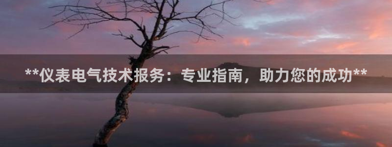 凯发k8娱乐是哪个国家的：**仪表电气技术报务：专