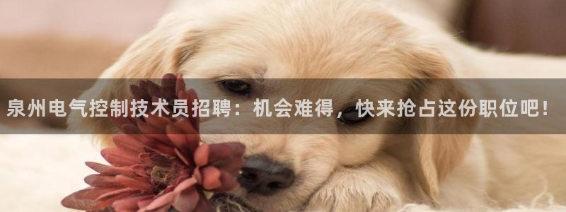 凯发娱乐k8下载：泉州电气控制技术员招聘：机会难得