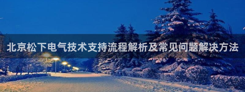凯发娱乐k8国际：北京松下电气技术支持流程解析及常
