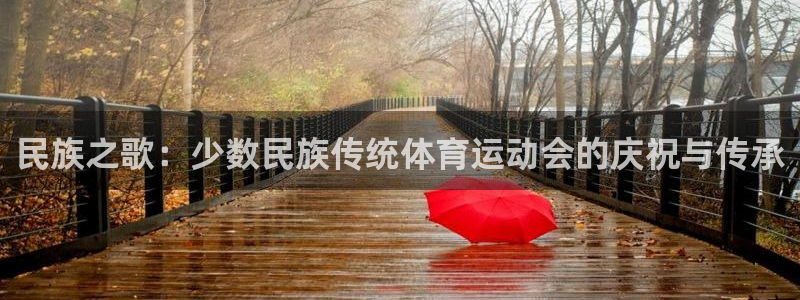 bsport必一运动：民族之歌：少数民族传统体育运动会的庆祝与传承