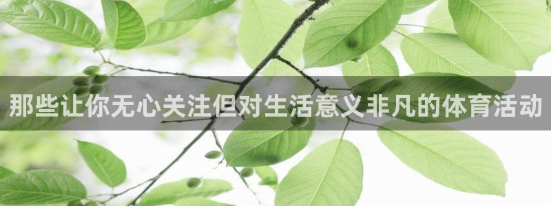 必一运动体育：那些让你无心关注但对生活意义非凡的体育活动
