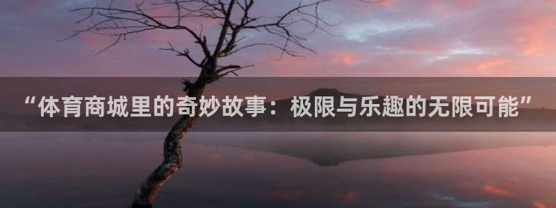 必一运动官网：“体育商城里的奇妙故事：极限与乐趣的无限可能”