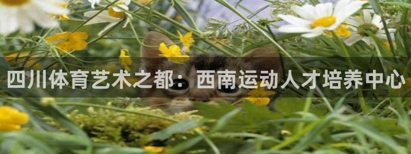 bsports必一运动：四川体育艺术之都：西南运动人才培养中心