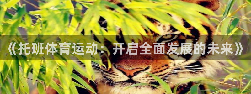 bsports必一运动：《托班体育运动：开启全面发展的未来》