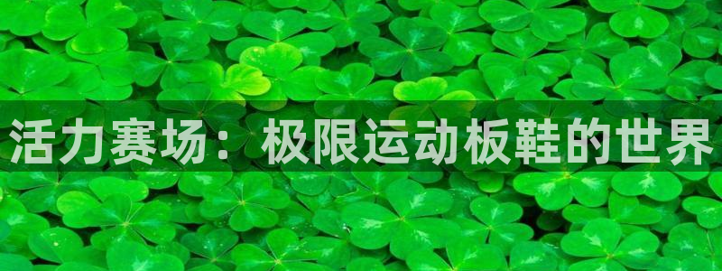 必一运动：活力赛场：极限运动板鞋的世界