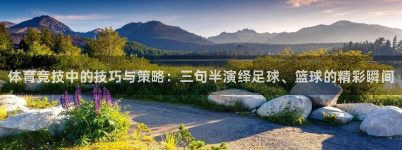 必一运动app：体育竞技中的技巧与策略：三句半演绎足球、篮球的精彩瞬间