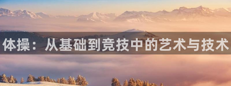 bsports官网 必一运动：体操：从基础到竞技中的艺术与技术
