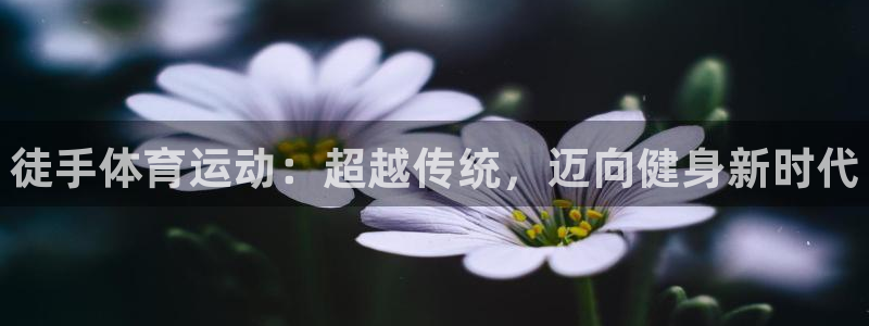 必一运动bsport体育：徒手体育运动：超越传统，迈向健身新时代