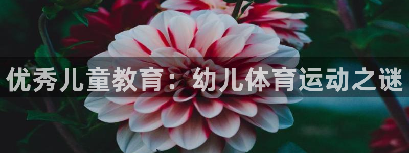 必一运动体育官网
