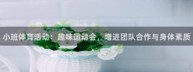 必一运动官网入口：小班体育活动：趣味运动会，增进团队合作与身体素质