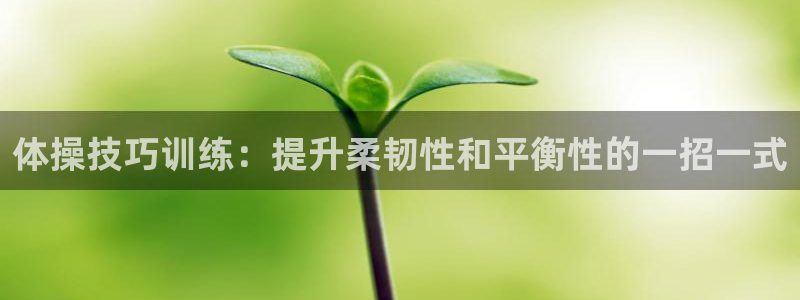 bsport必一运动：体操技巧训练：提升柔韧性和平衡性的一招一式