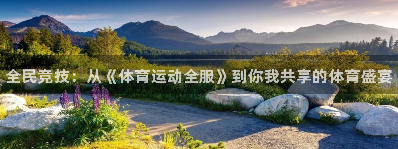 bsport必一运动：全民竞技：从《体育运动全服》到你我共享的体育盛宴