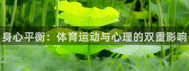 必一运动体育