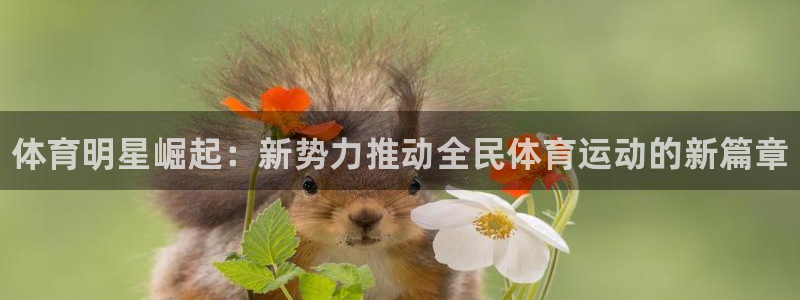 必一运动体育官网入口：体育明星崛起：新势力推动全民体育运动的新篇章