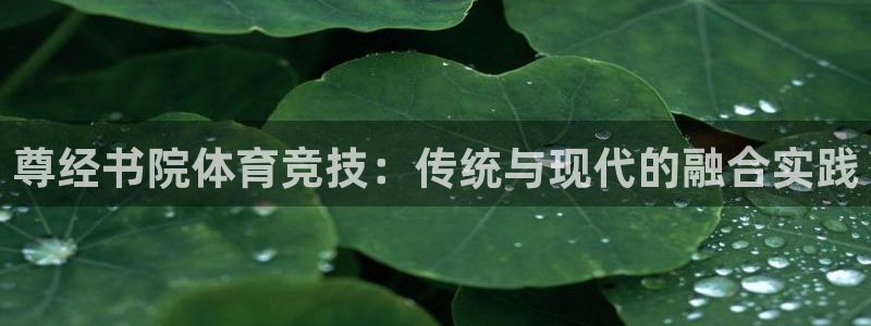 必一运动官网：尊经书院体育竞技：传统与现代的融合实践