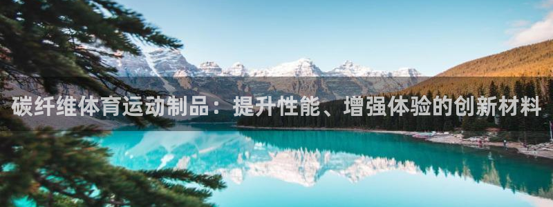 必一运动体育官网入口：碳纤维体育运动制品：提升性能、增强体验的创新材料