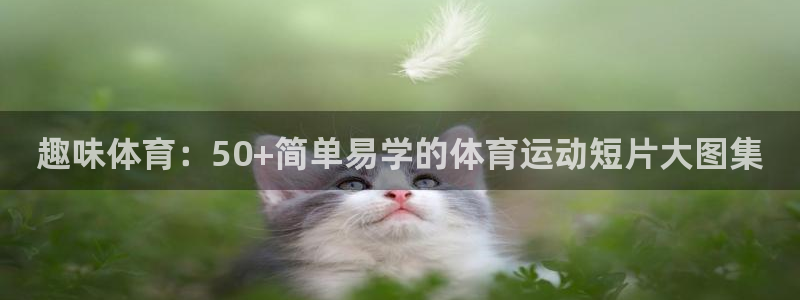 必一运动体育官网入口：趣味体育：50+简单易学的体育运动短片大图集
