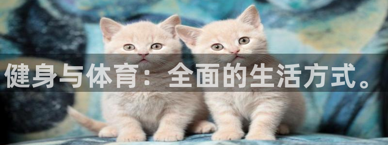 bsport必一运动：健身与体育：全面的生活方式。
