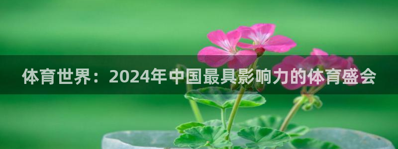 必一运动体育：体育世界：2024年中国最具影响力的体育盛会