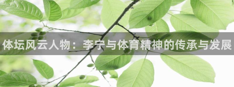 bsports官网 必一运动：体坛风云人物：李宁与体育精神的传承与发展