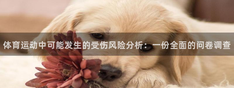 bsports必一运动：体育运动中可能发生的受伤风险分析：一份全面的问卷调查