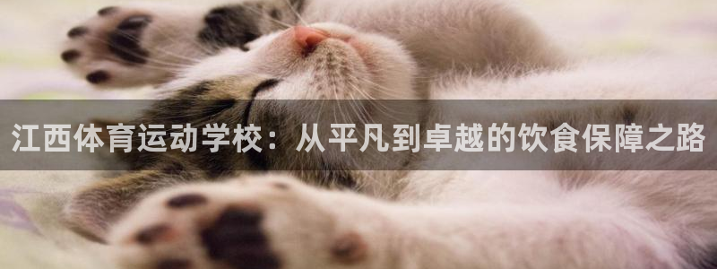 必一运动体育官网入口：江西体育运动学校：从平凡到卓越的饮食保障之路
