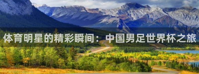 必一运动：体育明星的精彩瞬间：中国男足世界杯之旅
