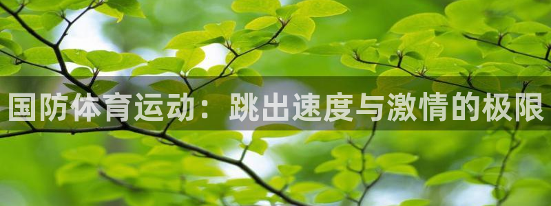 必一运动：国防体育运动：跳出速度与激情的极限