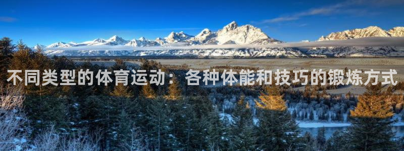 bsports必一运动：不同类型的体育运动：各种体能和技巧的锻炼方式