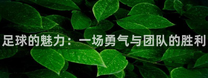 bsports官网 必一运动：足球的魅力：一场勇气与团队的胜利