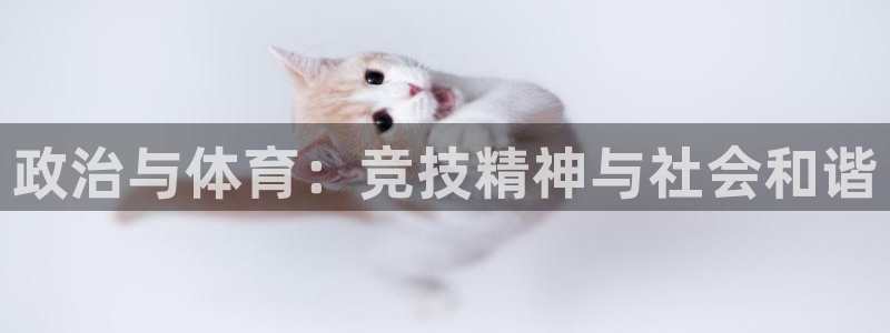 bsport必一运动：政治与体育：竞技精神与社会和谐